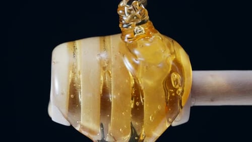 Liquid Honey