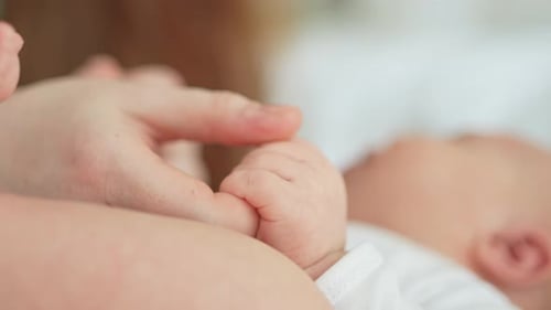Baby's Hand Gripping Adult's Finger in Close-Up