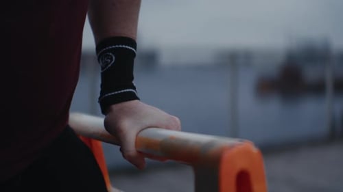 Adult Does Dips in Urban Environment