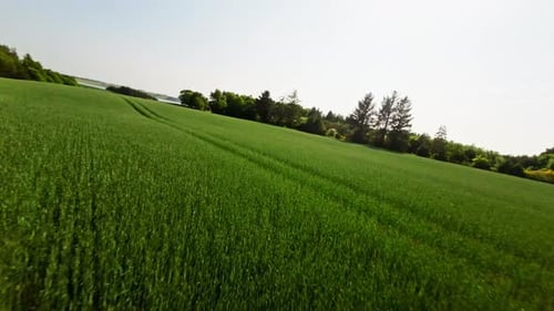 Speeding Drone Above Crop Field