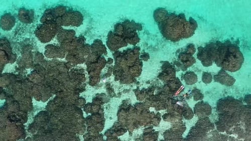 Aerial view of tropical island with corals and snorkeling, Maldives.