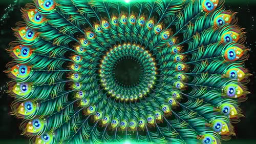 Vibrant Animated Peacock Feather Spiral Loop Background