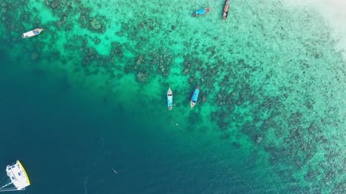 Thai Longtail Tour boats in Clear Blue Reef Water, Drone Top down View