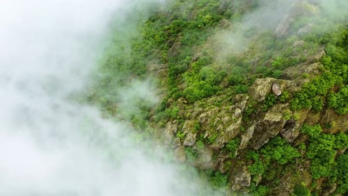 Nature Clouds Mountains Summer Forest Morning Fog Trees Aerial Beautiful Landscape Turkey