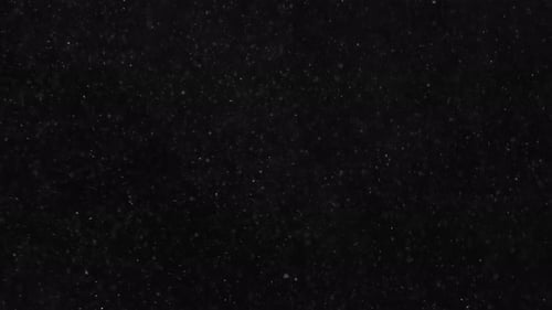 Arctic Collection: Effect of snow floating slowly in the air on a black background