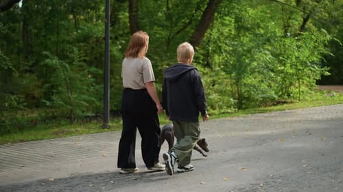 Woman And Boy Stroll With Pet Woman And Boy Calmly Walk Their Dog Through Trees Relaxed Woman And