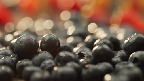 Extreme Close Up of Juicy Blueberries