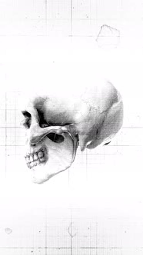 Medical Chart Skull 08
