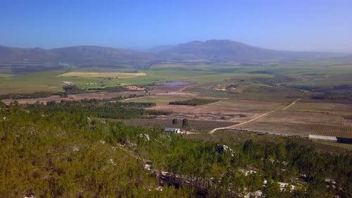 Aerial View of Rolling Farmland on Sunny Day