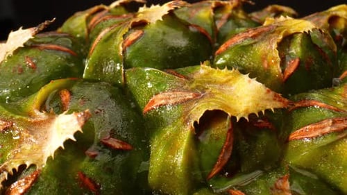 Uma textura de abacaxi em vídeo macro