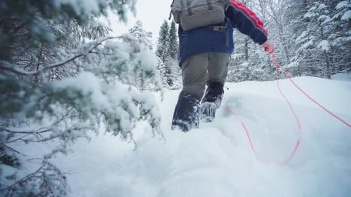 Ground Level Shot Of A Man Walking Through Deep Snow In The Forest On A Cold Winter Day In Norway. s