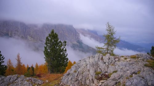 Mountains and forest in Alps, Italian Dolomites filmed in cloudy and fogy weather. Filmed with a