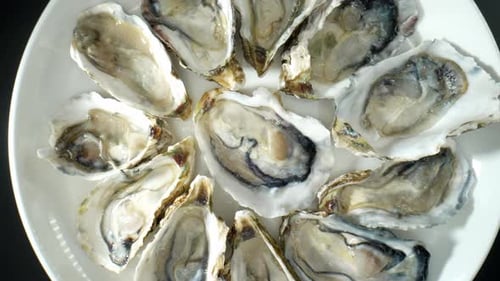 Delicious Opened Oysters Arranged on White Plate