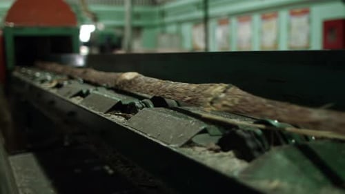 Automated Sawmill Production Line Soundscape