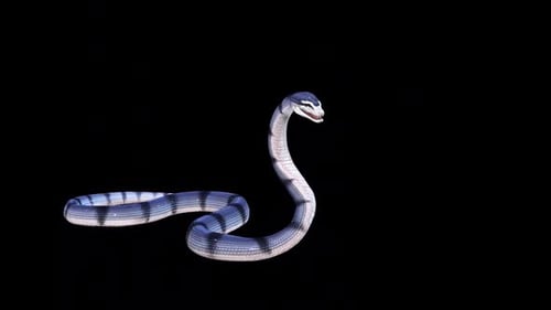 Wild Anaconda Attack Idle 2