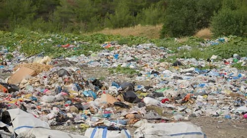 Overwhelmed Natural Landscape Filled with Trash