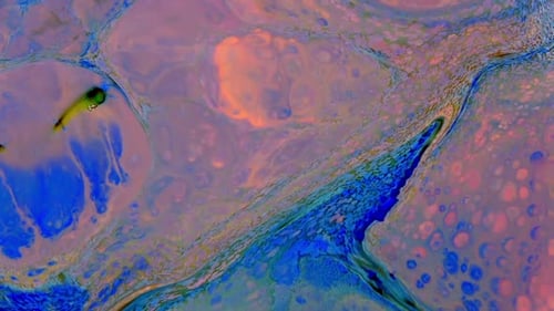 Abstract Colorful Liquid Swirls in a Mesmerizing Motion