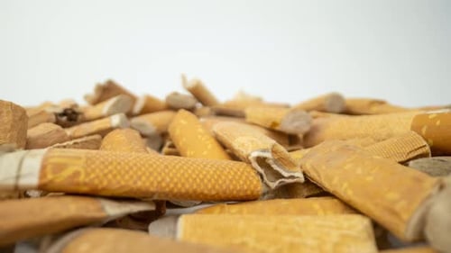 Cigarette Butts Closeup on White