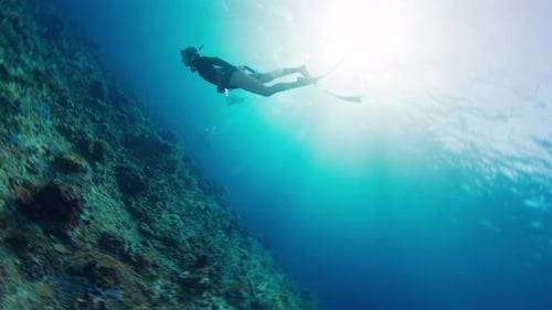 Female Freediver Swims Underwater and Explores Vivid and Healthy Coral Reef in Komodo National Park