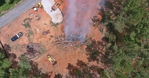 There is Destruction of the Forest Burning of Trees Uprooting of Trees and Cleaning of Land for