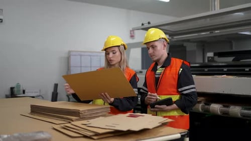 Fabrikarbeiter untersuchen Kartonmaterial in der Produktionsstätte