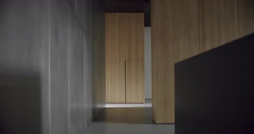 Modern Home Hallway With Light Wood Closets