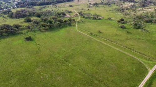 An aerial view of a vast green field with scattered trees, intersected by dirt paths winding through