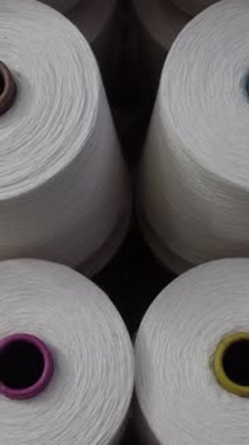 Many White Cotton Bobbins in Textile Manufacturing