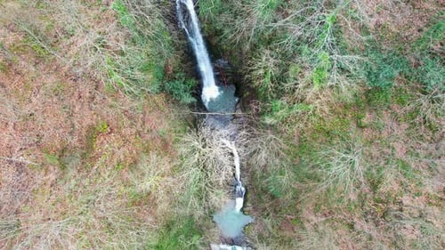 Waterfall in the Forest