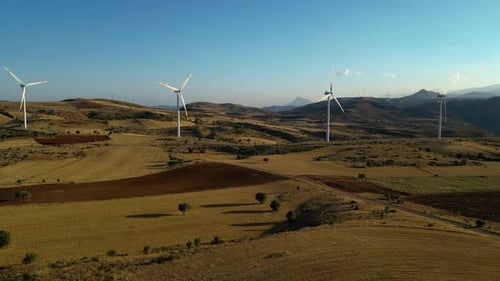 Wind Tribunes and Spectacular Nature Scenes