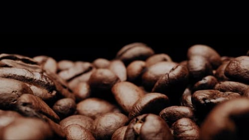 Close up shot moving through heap of coffee beans with black background