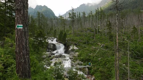 Scenic view of waterfall in forest, High Tatras, Slovakia