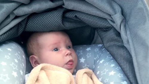Infant Lays in Stroller and Yawns