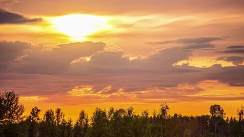Glorious golden sunset and cloudscape over the forest in silhouette - time lapse