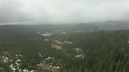 Drone voando acima da densa floresta de abetos em Telemark, Noruega, em um dia nublado. aéreo