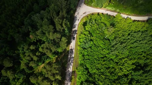Aerial View of a Winding Road Through Lush Green Forest Captivating Scenery Creating a Beautiful