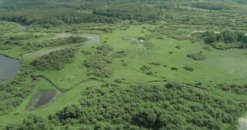 Nature Aerial View River Valley Beautiful View From Height of the Rivers Swamps and Green Forests