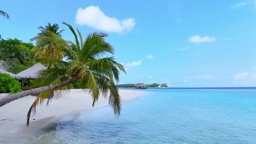 Tropical White Sand Beach with Calm Turquoise Water and Palm Trees Under Blue Sky Serene Atmosphere
