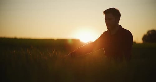 Man Touches Grass in Field at Sunrise