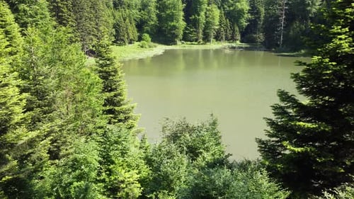 Wonderful Lake In The Forest Drone Shooting 4K