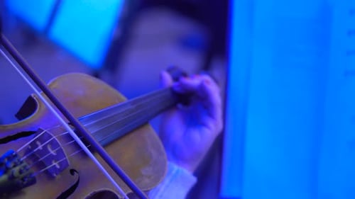 Woman Plays Violin in Blue Light, Close Up