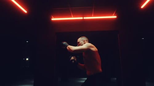 Fight Training