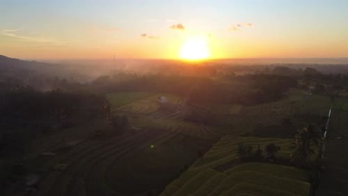 Beautiful morning view indonesia Panorama Landscape paddy fields with beauty color and sky natural