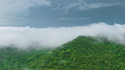 Beautiful aerial view of the valley landscape in the morning.