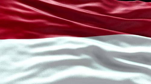 Red and White Flag Waving in Realistic Fabric Animation