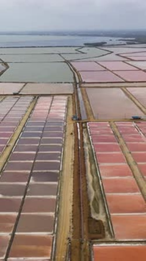 Vue aérienne des étangs de production de sel au Sri Lanka