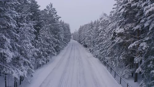 Aerial Footage of Road in Winter Forest Landscape