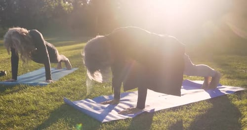 Mature women practice yoga upward facing dog pose in sunny autumn park