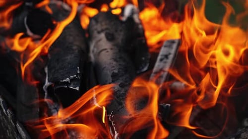 Coals are burning in fire flame. Orange fire transforms the wood into charcoal in the grill.