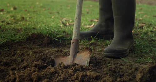 Cinematic Close Up Shot of Farmer Digging Soft Ground With a Shovel to Prepare